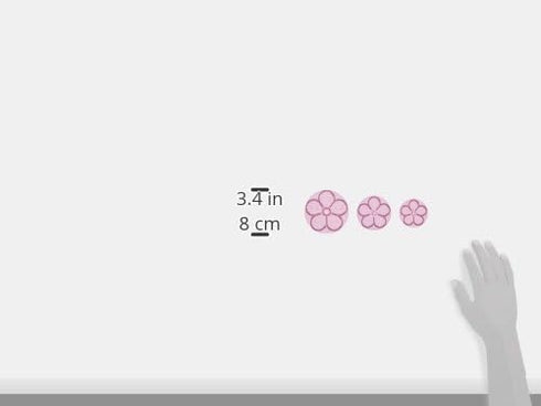 PME JEM Easy Rose Fondant Cutters - Set of 3, Standard, White