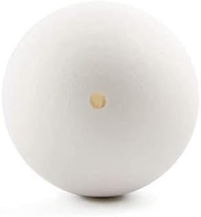 3.5 Inches BestPysanky Blown Out Hollow Real Goose Eggshell, Empty Cleaned-Out Egg for Easter Egg Decorating, DIY