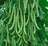 Dirt Goddess Super Seeds ~ Kentucky Wonder Pole Beans (1/2 Lb) Bulk