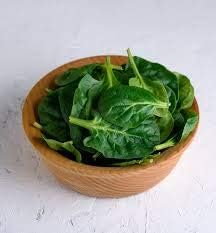 (3.0g) F-1 91% Pack 1 Gaea's Blessing Seeds - Spinach Seeds - with Easy to Follow Instructions Avon Hybrid Non-GMO Open