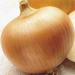 Seed Kingdom Onion Yellow Sweet Spanish Great Heirloom Vegetable By 1/4 Lb Seeds