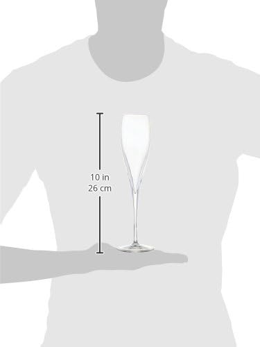 Luigi Bormioli 6 oz Sparkling Wine Glasses (Set of 2), Clear