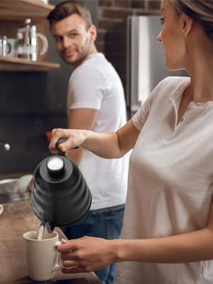 Tea Kettle with Thermometer, Silver Gooseneck 28 oz Stainless Steel Pour Over Coffee Kettle for Stovetop Tea