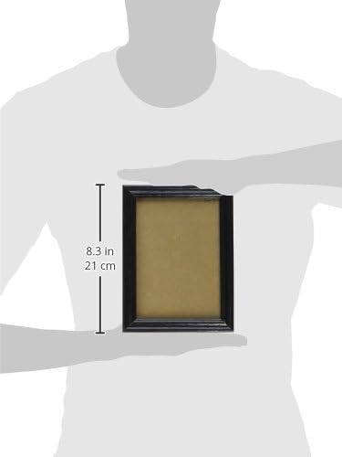 Craig Frames 200ASHBK Picture/Poster Frame, 0.75-Inch Wide, Black, 18 by 24-Inch, Wood Grain Finish