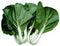 Seed Kingdom Cabbage Pak Choi White Stem Great Heirloom Vegetable by Bulk 20,000 Seeds
