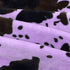 40"x50" Purple Throw Blanket for Girls, Cute Soft Small Fleece Blankets for Bed Nursery Stroller Crib, Lavender Purple