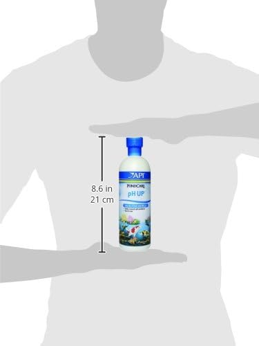 16-Ounce API POND pH UP Pond Water pH Raising Solution Bottle