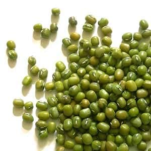 1 Todds Seeds - Mung Bean Sprouting Seed - Mung Bean Seeds - Chinese Green Bean - Pound Bulk Seeds