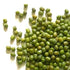 1 Todds Seeds - Mung Bean Sprouting Seed - Mung Bean Seeds - Chinese Green Bean - Pound Bulk Seeds