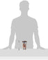 Tervis Coastal Wild Horses Double Walled Insulated Tumbler Travel Cup, 16oz, Made in USA
