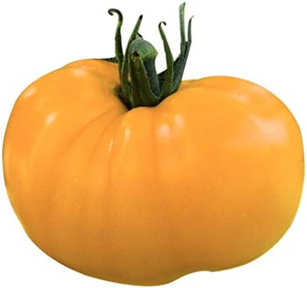 Yellow Azoychka Tomato Seeds - Heirloom Large Tomato - One of The