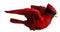 Cardinal Window Magnet,Red