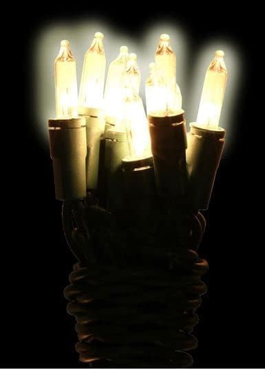 Generic 20 Count 2 Pack 5 Mini Light - Clear, Feet, Indoor, Incandescent, String Lights