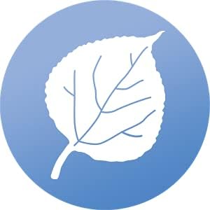 WindowAlert Aspen Leaf Anti-Collision Decal - UV-Reflective Window Decal to Protect Birds from Glass Collisions