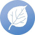 WindowAlert Aspen Leaf Anti-Collision Decal - UV-Reflective Window Decal to Protect Birds from Glass Collisions