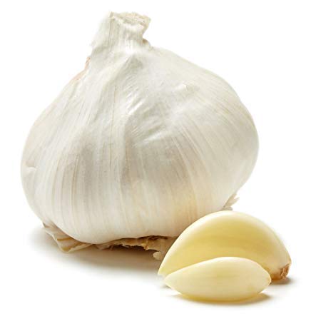Bulbs 15 Bulbs Snow Hill Organic Himalayan Garlic Heirloom, Non-GMO, Naturally Small Size Raw Garlic Grown in High
