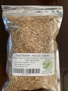 Oat Seeds Magic Grow 1 Lb (3000+ Oat Seeds Seeds)- Cat,Dog,Pets- Oat Grass Seeds