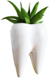 Cuteforyou Cute Cartoon Ceramic Succulent Pots, Pencil Holders, Desk Accessories, Makeup Brush Storage Stand (White
