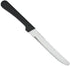 Round Tip Steak Knife with Plastic Handle - 5 Inch Blade - 12 per Case