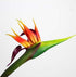3 Pcs Large 32 Inch Bird of Paradise Permanent Flower, UV Resistant No Fade Soft Rubber PU Artificial Plants, Orange Red