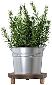 MADOCEGO 2 9.8 Inches) Pcs Wood Plant Stand Wooden Plant Stool Round Riser Display Stand Flower Pot Holder Low Plant