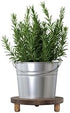 MADOCEGO 2 9.8 Inches) Pcs Wood Plant Stand Wooden Plant Stool Round Riser Display Stand Flower Pot Holder Low Plant