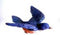 CC52005 Blue Bird Window Magnet