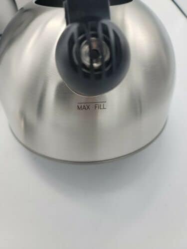 Springberry Tea Kettle, 2 1/4 Whistle by Gibson Overseas