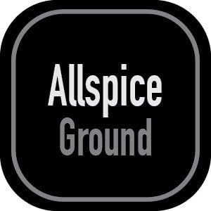 AllSpice Preprinted Water Resistant Square Spice Jar Labels - Set of 2" Labels
