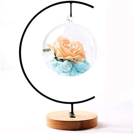 YY YEARCHY Awesomes Ornament Display Stand, Indoor Metal Air Plant Holder for Hanging Glass Globes