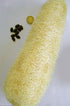 Seedville 25 LUFFA Sponge Gourd (Vegetable Sponge/Smooth Luffa/Sponge Luffa/Climbing Okra/Dishrag Gourd) Luffa