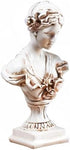 8.6 Inch Greek Statue of Venus Goddess, Classic Roman Greek Mythology Head Bust Statue Resin Sculpture Figurines