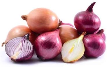 NIKA SEEDS 500 Seeds Vegetable Onion Rainbow Mix Neutral - Seeds