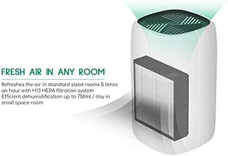 Afloia Efficient Filter for Q10 Air Purifier and Dehumidifier (Air Purifier Q10 Filter Replacement)
