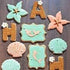 Starfish Cookie Cutter - 3.75", Made in USA by Ann Clark