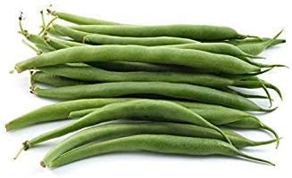 30+ Provider Bush Green Bean Seeds (Phaseolus vulgaris) Non-GMO Heirloom by Islas Garden, Early Harvest Variety