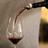 LEMONSODA Wine Aerator Pourer - Essential Clear Wine Aerator Spout