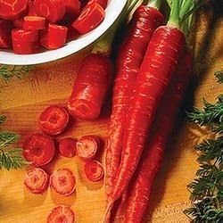 200+ Carrot Seeds- Atomic Red- Heirloom Variety