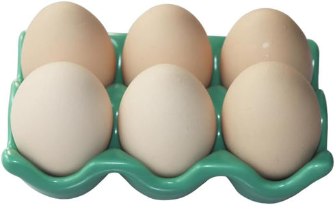 Ceramic Egg Holder - Porcelain Fresh Egg Tray for Fridge Countertop Kitchen Storage, Holds Half Dozen 6 Cups