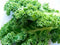 Seed Kingdom Kale Dwarf Siberian Improved Great Heirloom Vegetable by Bulk 1/4 Lb Seeds