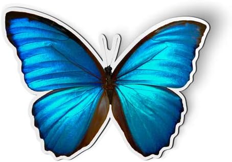 Blue Morpho Butterfly Magnet, Beautiful Car Fridge Locker, 5.5"