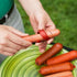 2PCS Spiral Hot Dog Slicers - Cyclone Barbecue Sausage Cutter Kitchen Tools for Home DIY BBQ Picnic Camping