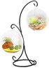 Archi YY YEARCHY Ornament Display Stand Iron Pothook Stand for Hanging Glass Terrarium (Iron Stand)
