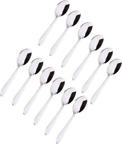 Stainless Steel Spice Box Spoons Set of 12, Silver