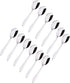 Stainless Steel Spice Box Spoons Set of 12, Silver