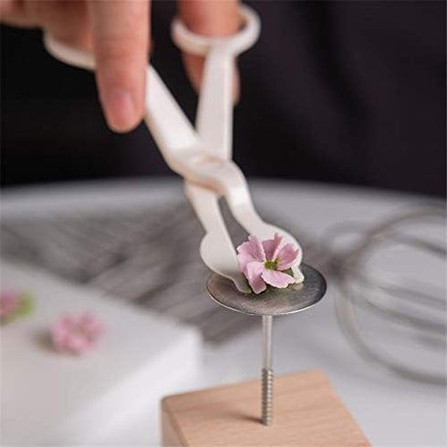 6PCS Stainless Steel Cake Flower Nail and Lifters Set, Baking Tools for Icing Flowers Decoration (4 Sizes)