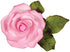 PME JEM Easy Rose Fondant Cutters - Set of 3, Standard, White