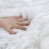 2x4 ORINOVA White Faux Sheepskin Fuzzy Fur Rugs for Bedroom Small Machine Washable Fluffy Area Rugs for Living Room
