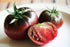 Harley Seeds 30 Paul Robeson Tomato Seeds, Heirloom Non-GMO, Low Acid, Indeterminate, Open-Pollinated, Rich Flavor