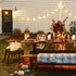 40 13FT Dailyart Globe String Light, Led Battery Operated String Lights, Waterproof Outdoor Indoor String Lights